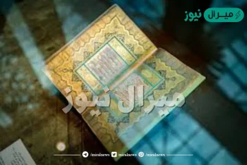 احدد وجه الاستدلال في الايتين على ثناء الله تعالى على الصحابه