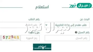 استعلام عن طلب زيارة مقدم لوزارة الخارجية السعودية وشروط التقديم