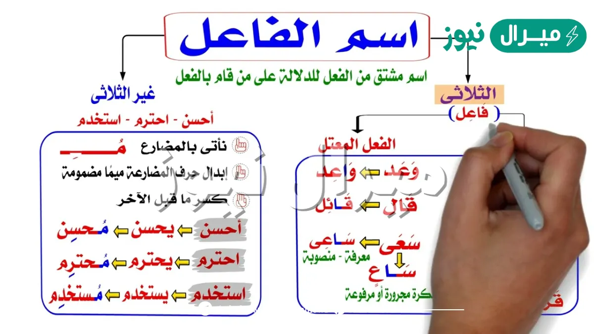 اسم الفاعل من الفعل قال هو