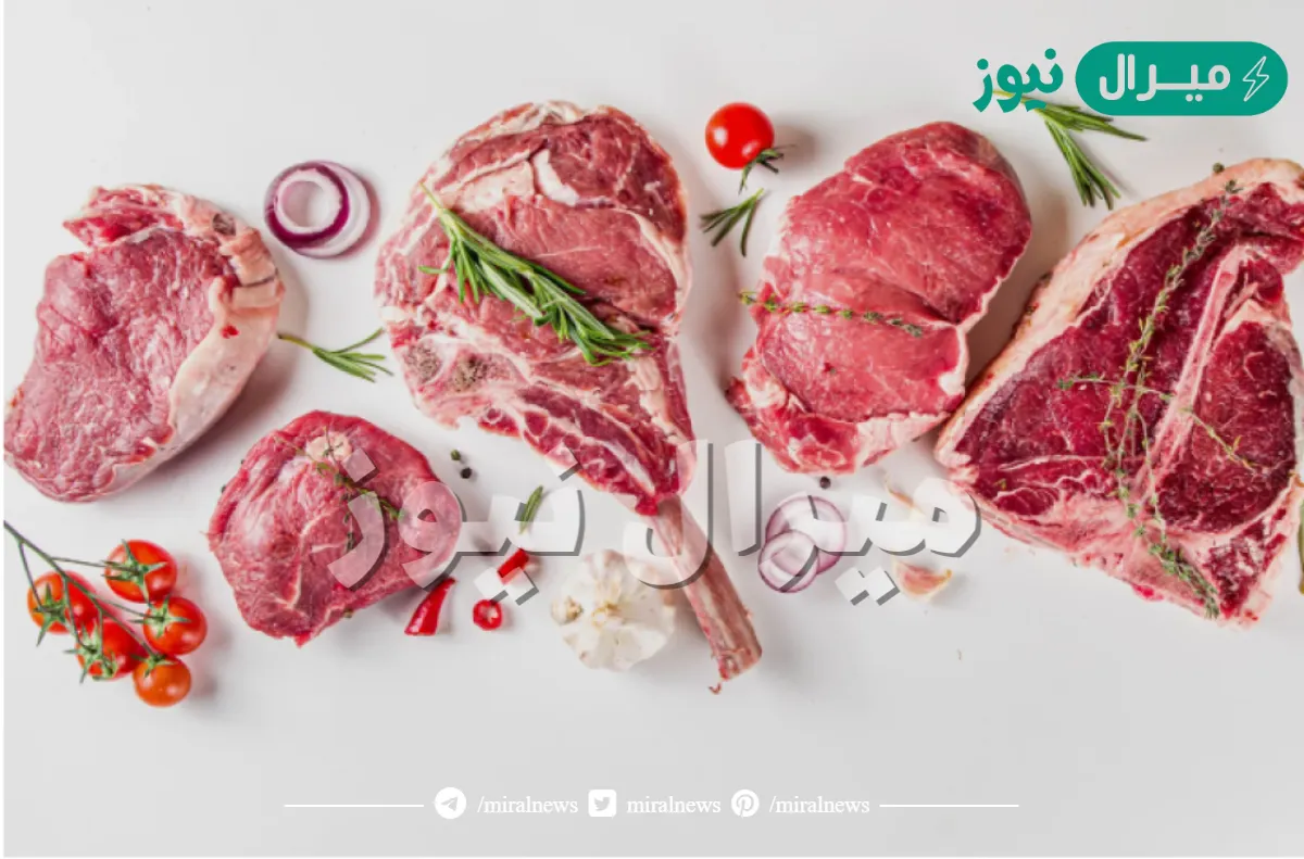 افضل لحمة في الحاشي