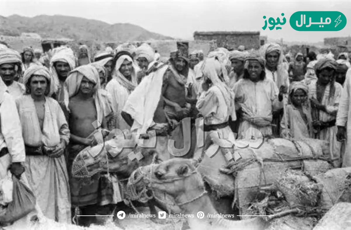 اكثر عدد قبيلة في السعودية