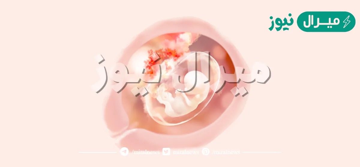 الاسبوع العاشر من الحمل