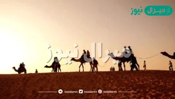الجوعي وش يرجع