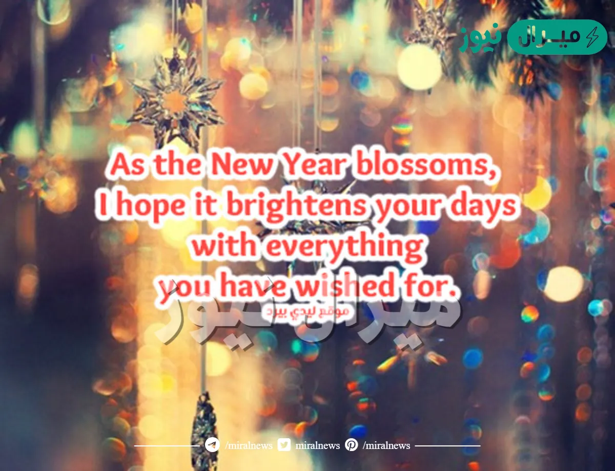 الرد على happy new year بالانجليزي