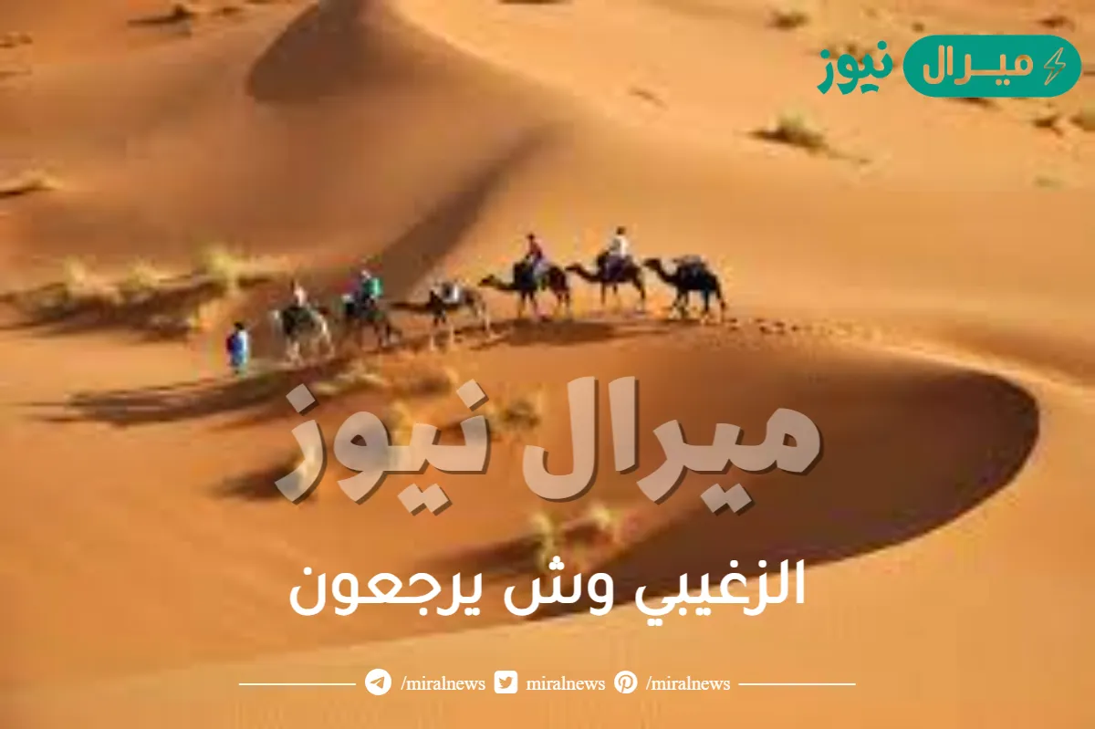 الزغيبي وش يرجعون