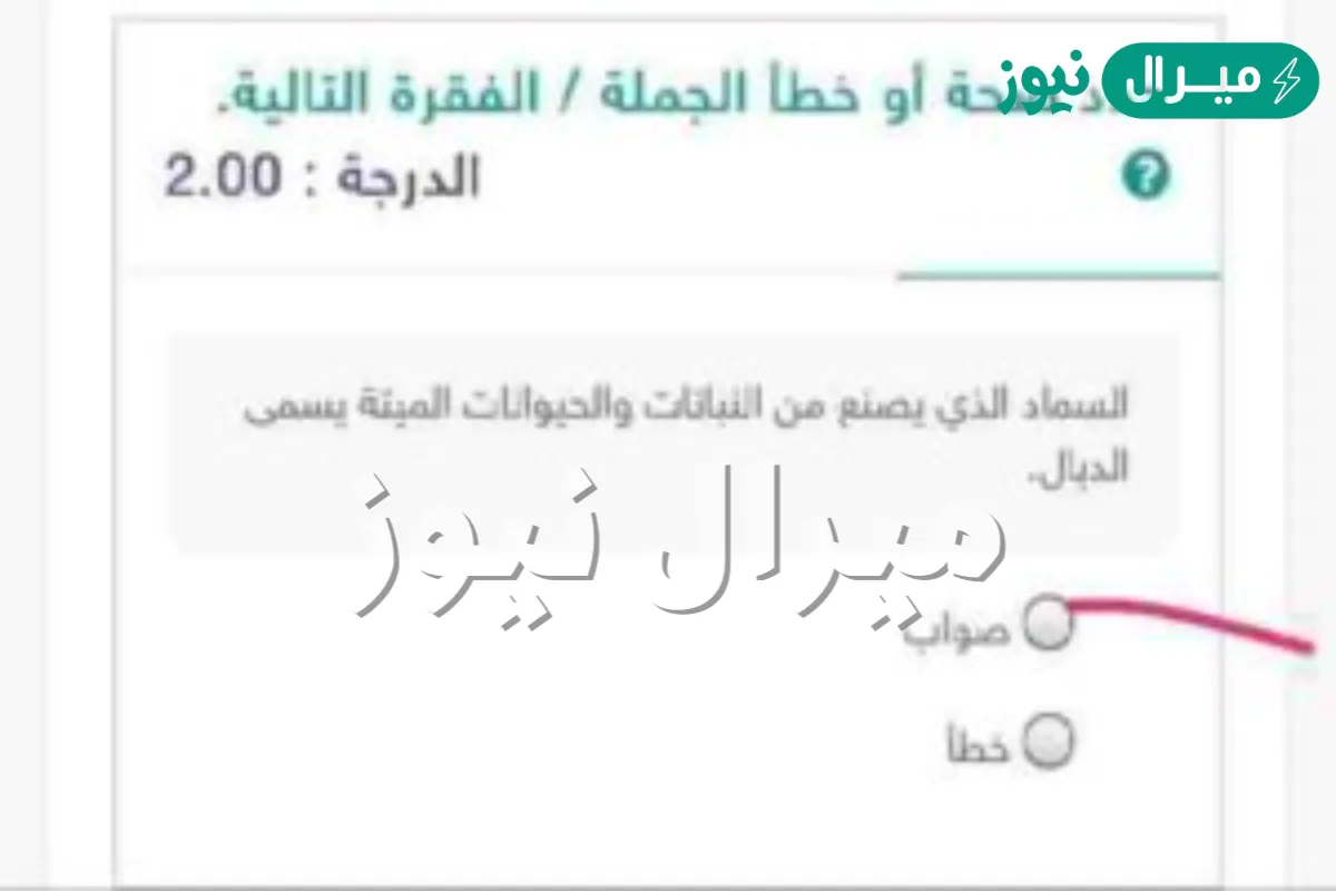 السماد الذي يصنع من النباتات والحيوانات الميته يسمى الدبال