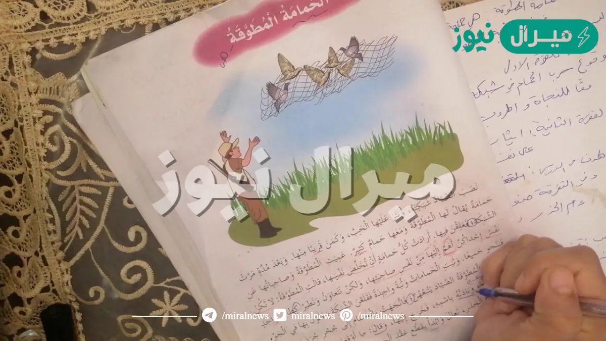 الشخصية الرئيسة في نص الحمامة المطوقة هي