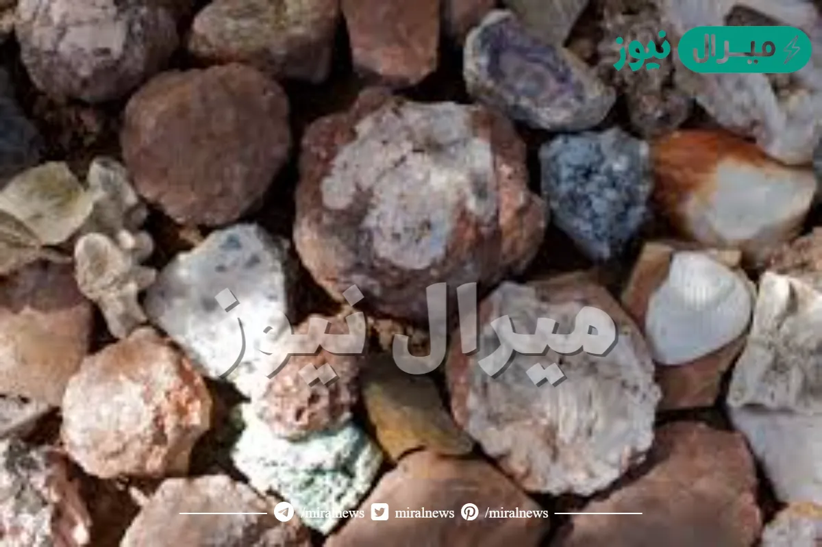 الصخور الناتجه عن تبريد الماجما تسمى