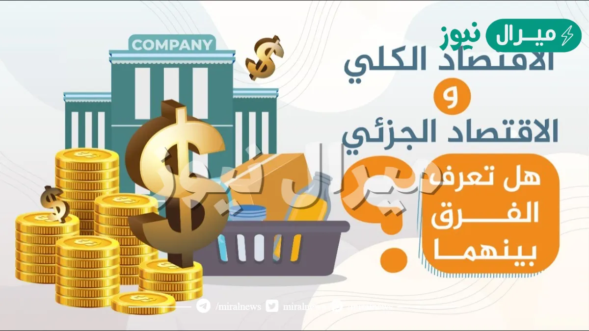 الفرق بين الاقتصاد الكلي والجزئي