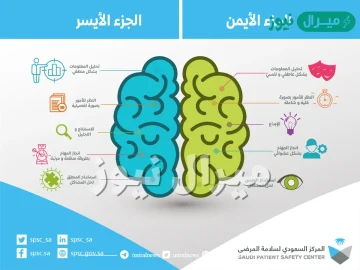 الفرق بين الدماغ الايمن والايسر