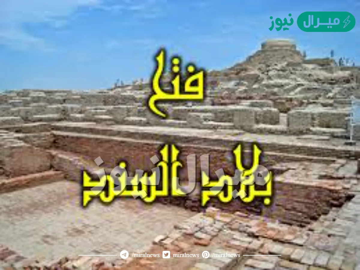 القائد المسلم الذي فتح بلاد السند