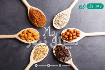 المغنيسيوم اين يوجد