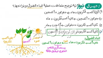 المواد الناتجة عن عملية البناء الضوئي ؟