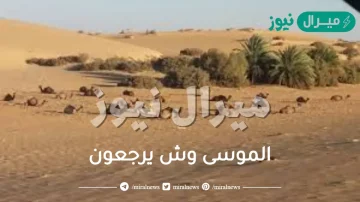 الموسى وش يرجعون