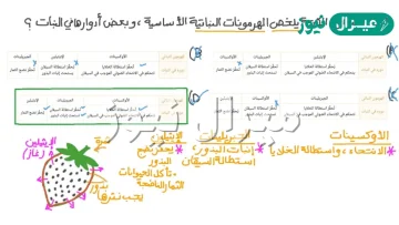 اي الهرمونات التالية يحفز عملية نضج الثمار