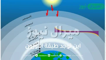 اين توجد طبقة الاوزون