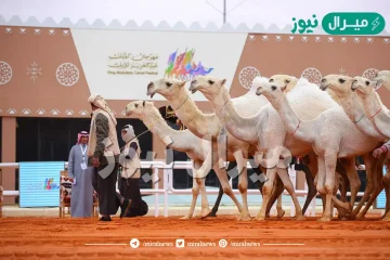 اين يقع مهرجان الملك عبدالعزيز للابل