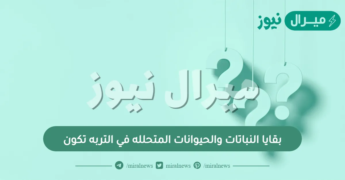 بقايا النباتات والحيوانات المتحلله في التربه تكون