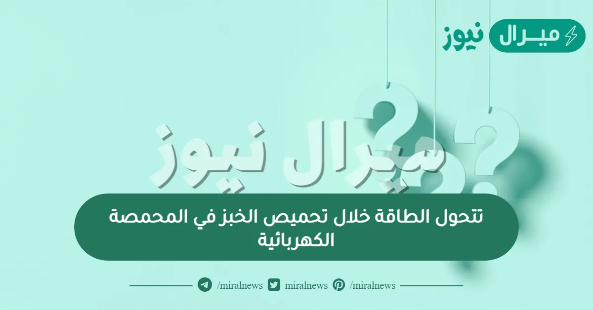 تتحول الطاقة خلال تحميص الخبز في المحمصة الكهربائية