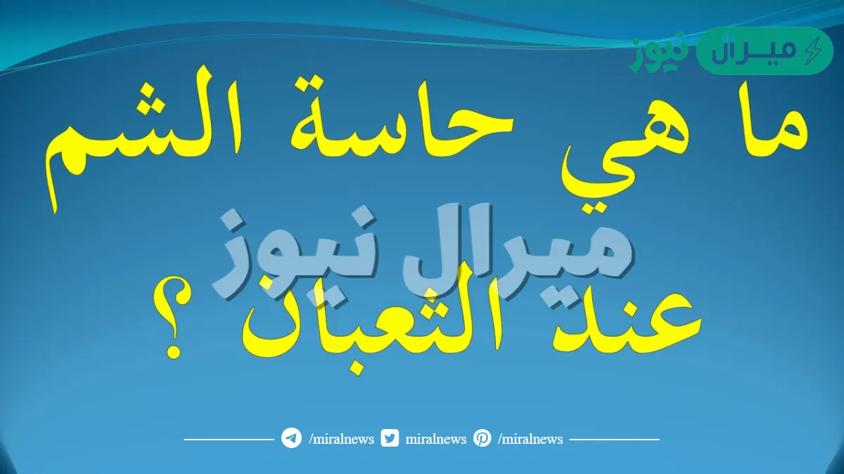 حاسة الشم عند الثعبان