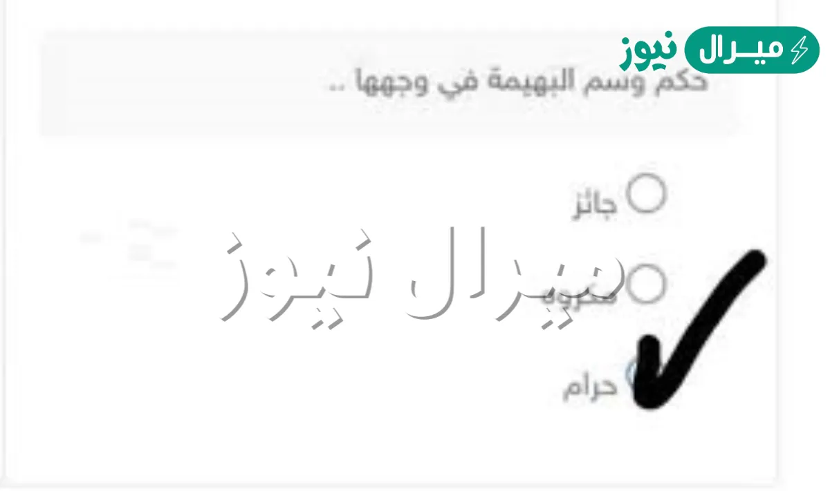 حكم وسم البهيمة في وجهها