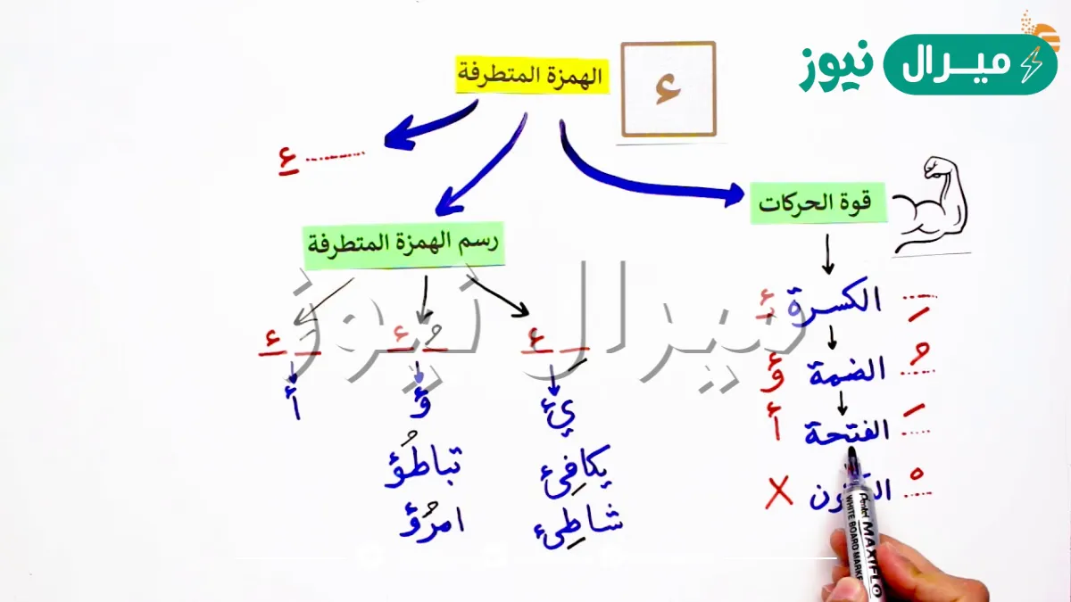 خريطة مفاهيم عن الهمزة المتطرفة
