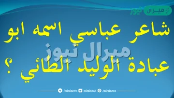 شاعر عباسي اسمه ابو عبادة ؟