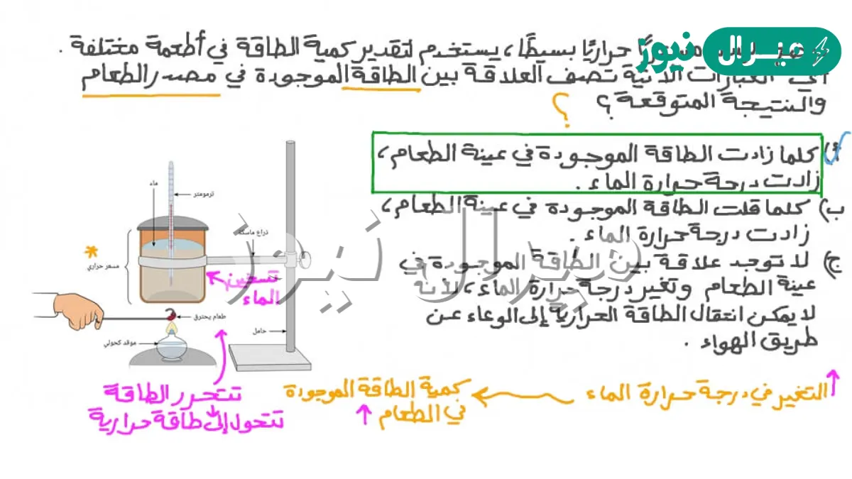 شكل الطاقة في الطعام