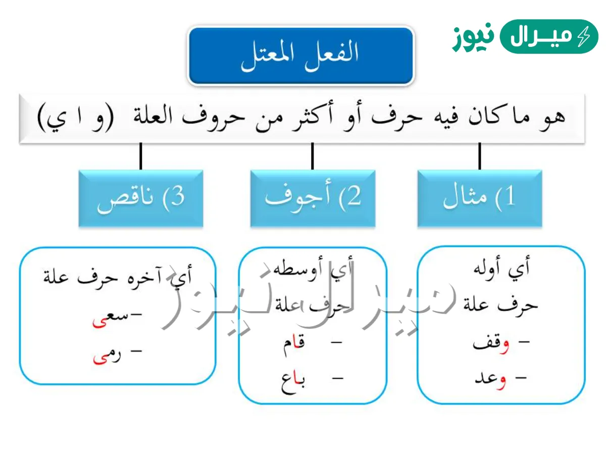 صان فعل معتل اجوف