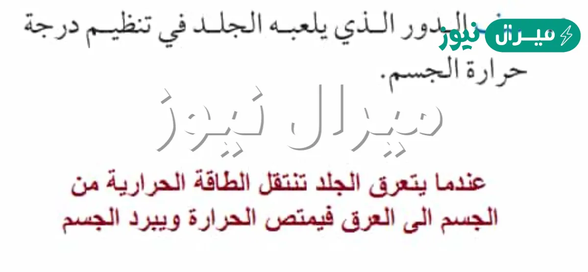 صف الدور الذي يلعبه الجلد في تنظيم درجة الحرارة