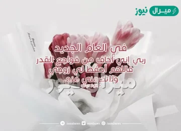 صور جديدة عن راس السنه