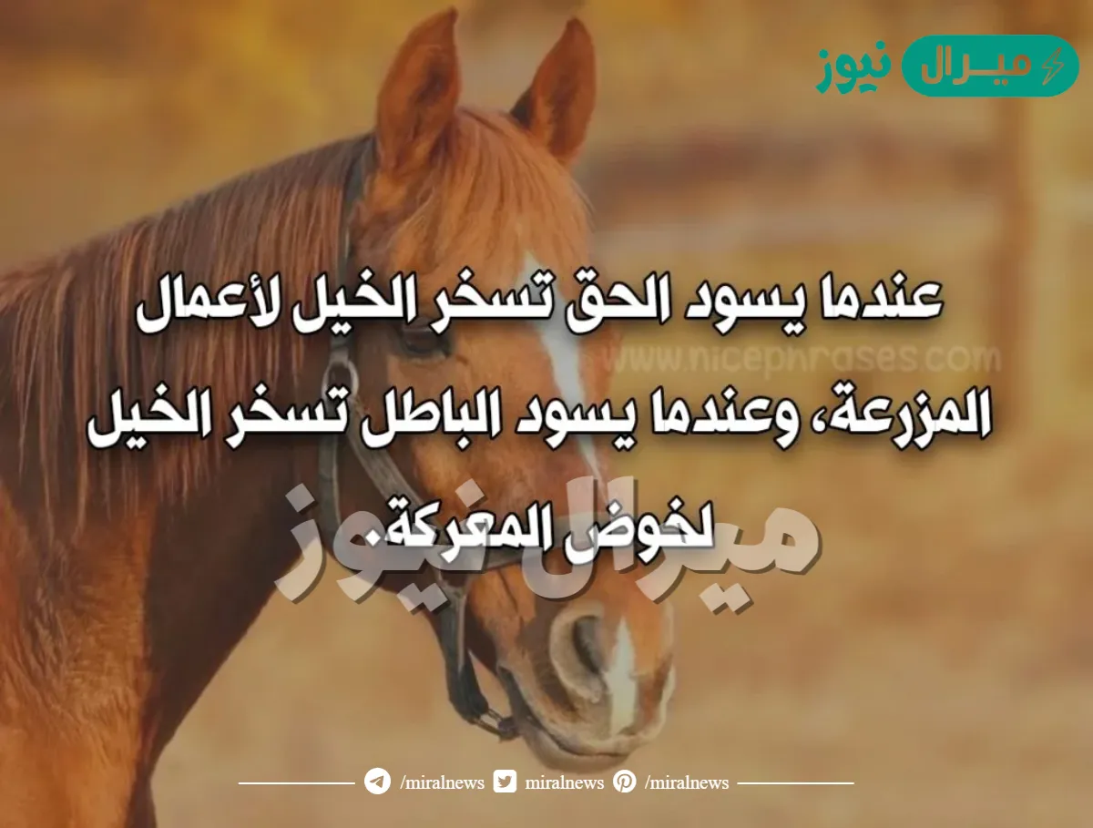 عبارات عن الخيل