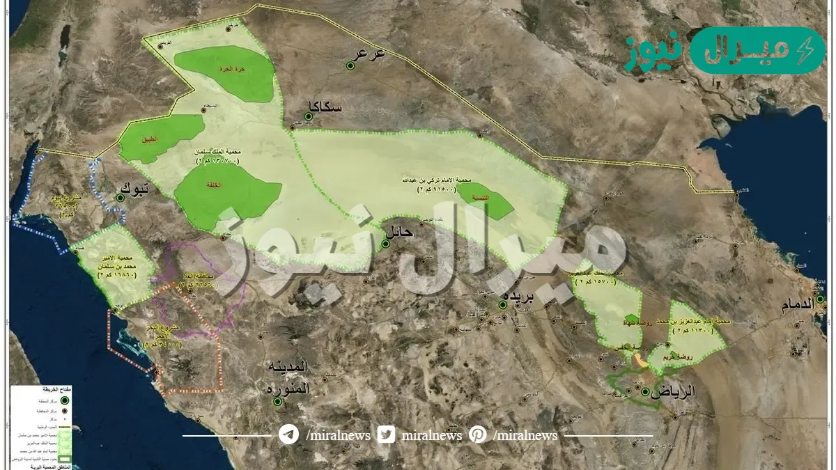عدد المحميات في المملكة العربية السعودية وأسمائها