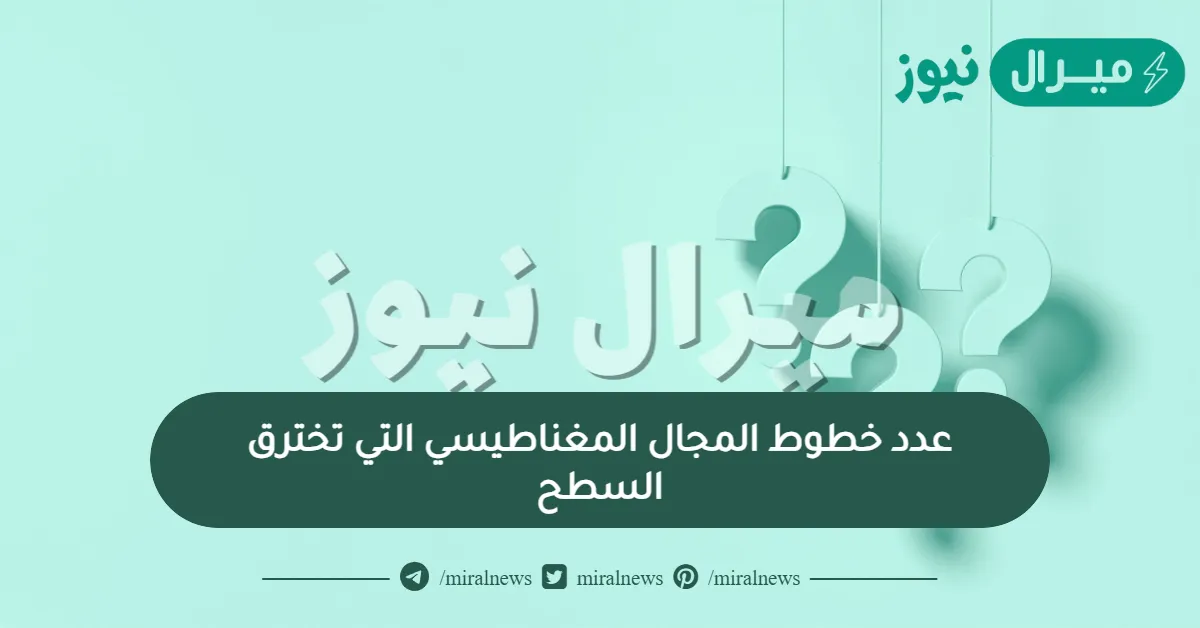 عدد خطوط المجال المغناطيسي التي تخترق السطح