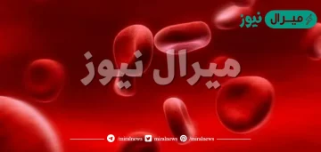 على كم لتر دم يحتوي جسم الانسان