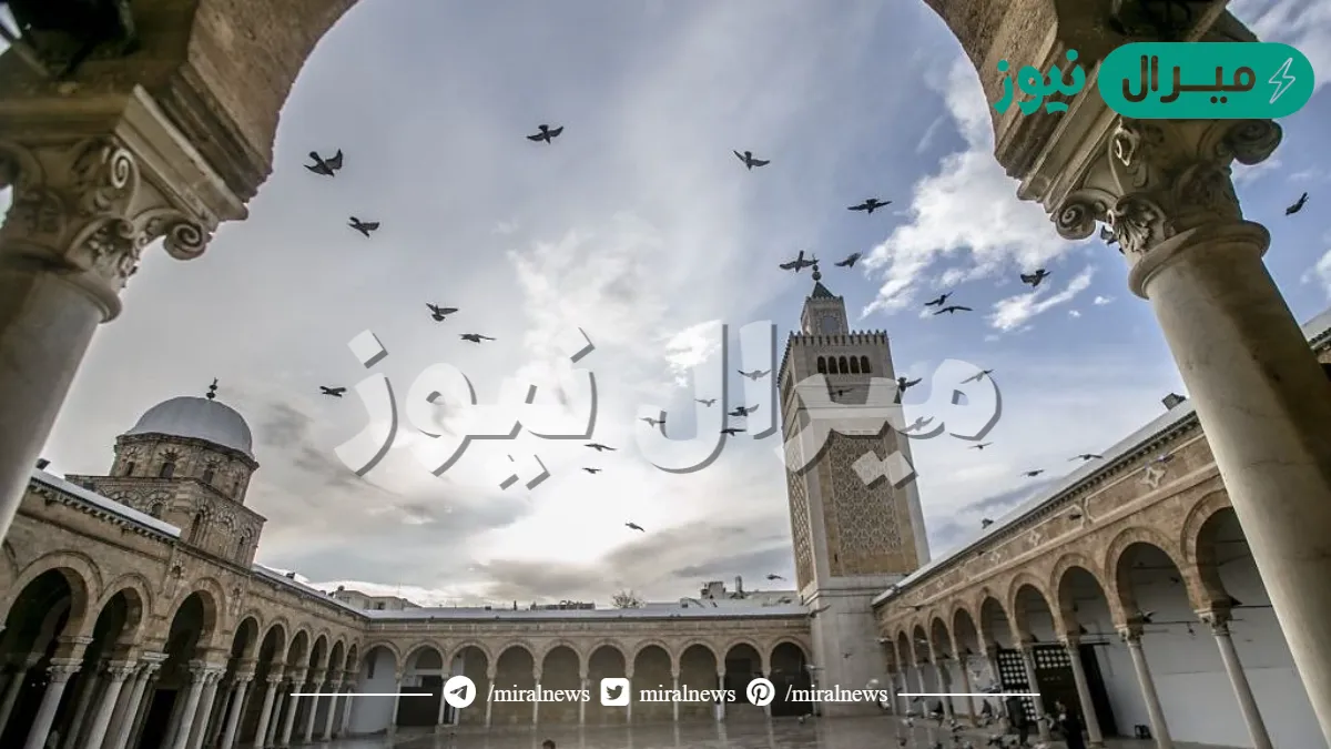 فى أي مدينة يقع جامع الزيتون