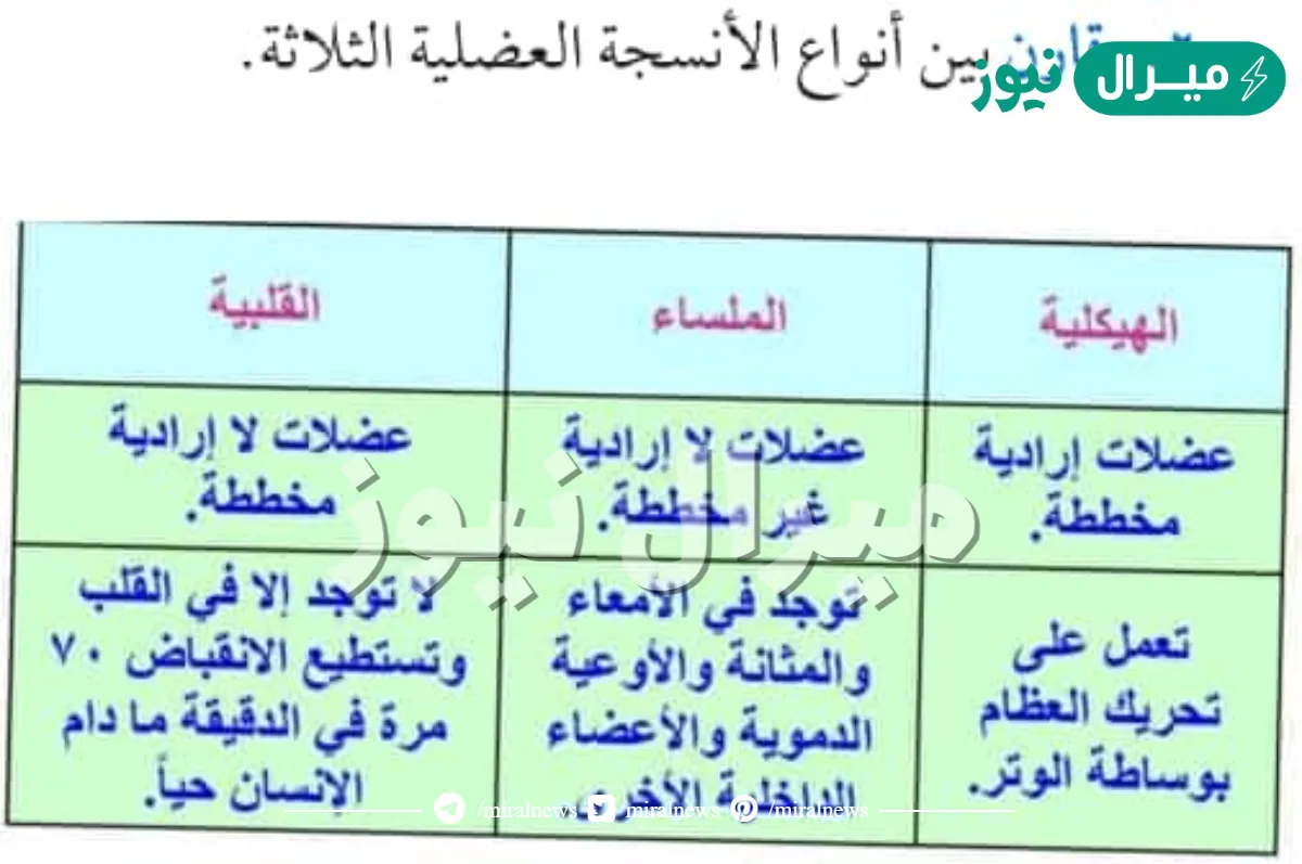 قارن بين انواع الانسجه العضليه الثلاثه
