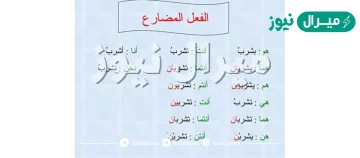 كلمات فعل مضارع