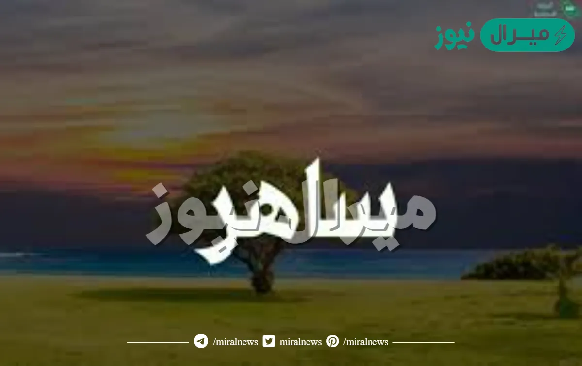 كلمة ساهر على وزن