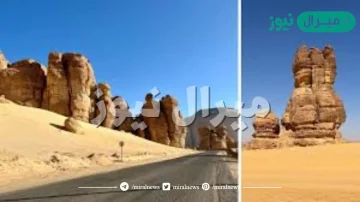 كم تبعد العلا عن نيوم