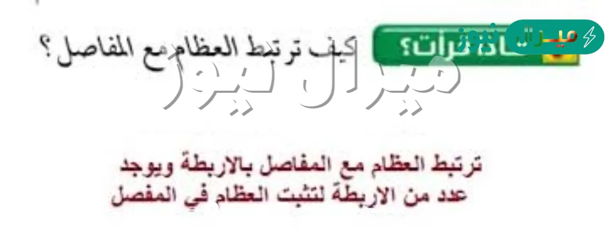 كيف ترتبط العظام مع المفاصل