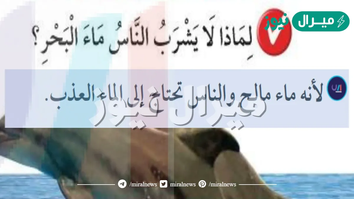 لماذا لا يشرب الناس ماء البحر