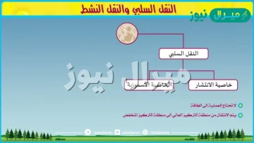 ما الفرق بين النقل السلبي والنقل النشط