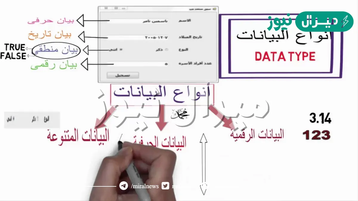 ما هي أنواع البيانات