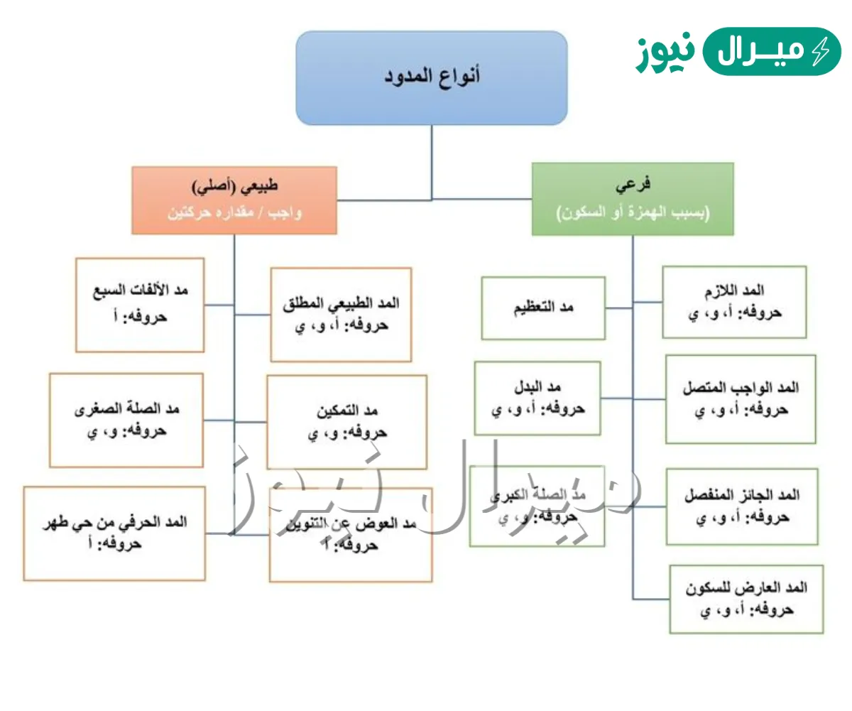 ما هي انواع المدود في التجويد