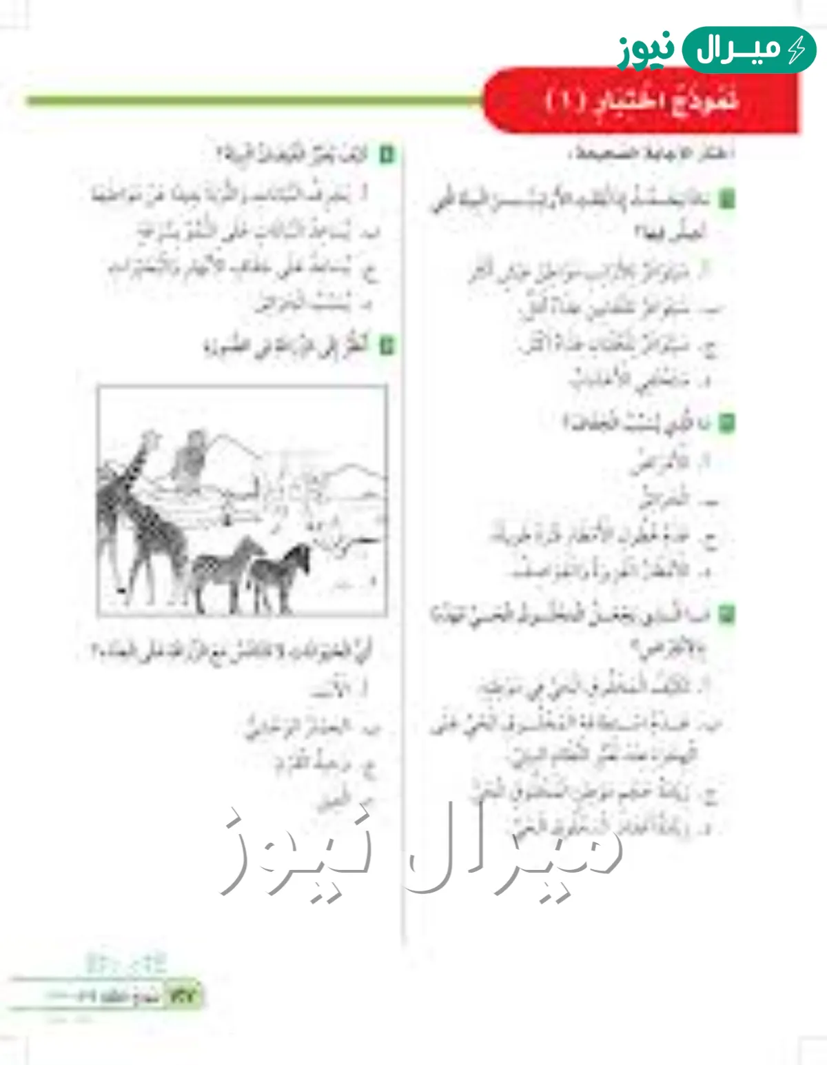 ماذا يحدث اذا نقلت الارانب من البيئه التي تعيش فيها ؟