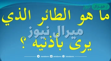 ماهو الطائر الذي يرى بأذنيه