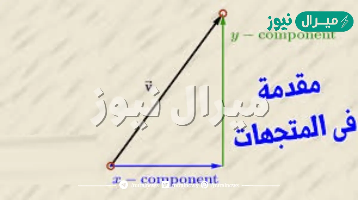 مقدمة في المتجهات