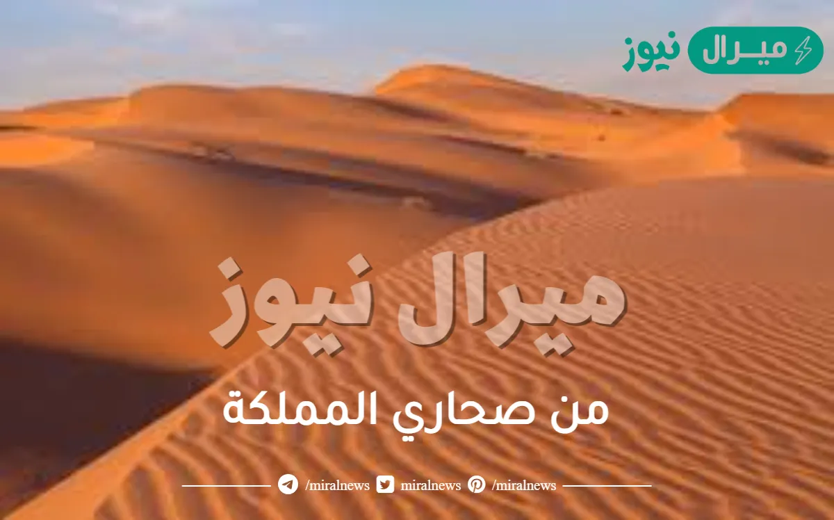 من صحاري المملكة
