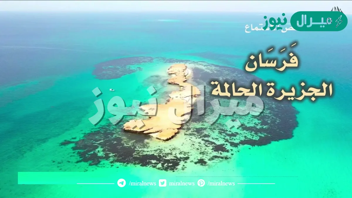 نص الاستماع فرسان الجزيرة الحالمة